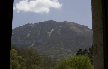 VISTAS PLANTA